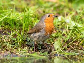 Similar image 22208957