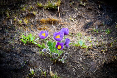 Similar image 22208766