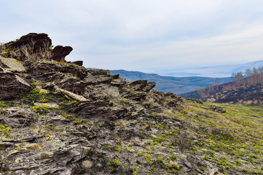 Similar image 22208960