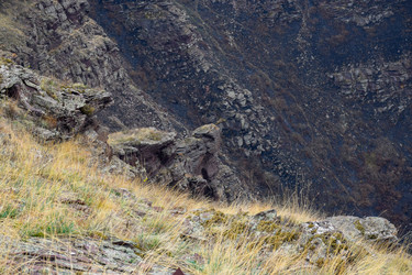 Similar image 22208964