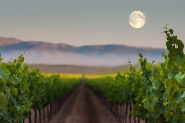 Similar image 22209111