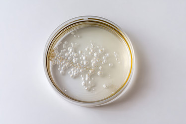 Similar image 22209112