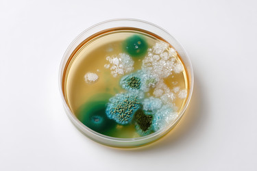 Similar image 22209114