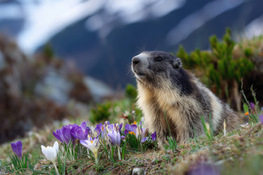 Similar image 22209123