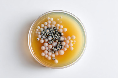 Similar image 22209124