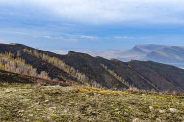 Similar image 22209130