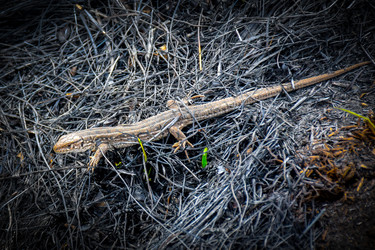 Similar image 22209131