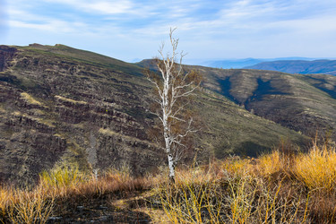 Similar image 22209133