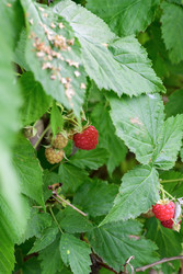 Similar image 22209144