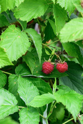 Similar image 22209147