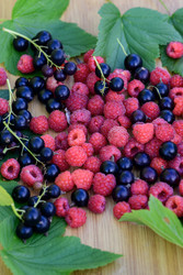 Similar image 22209150