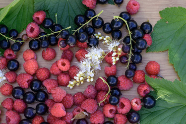 Similar image 22209151