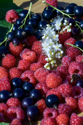 Similar image 22209152