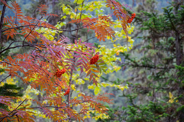 Similar image 22210166