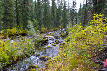 Similar image 22210167