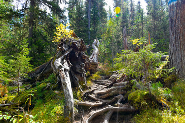 Similar image 22210168