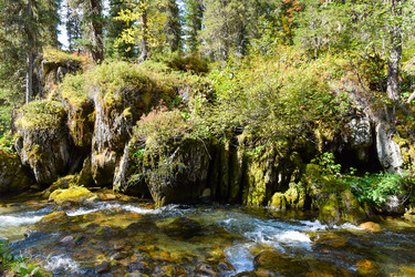 Similar image 22210169