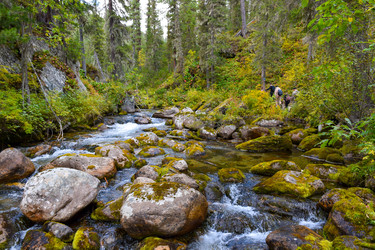 Similar image 22210172