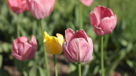 Similar image 22210533