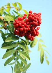 Similar image 22210536