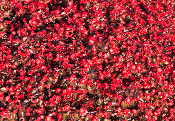 Similar image 22210541