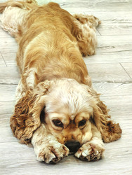 Similar image 22209204