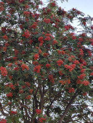 Similar image 22210187