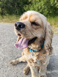 Similar image 22209205