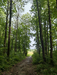 Similar image 22209207