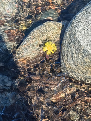 Similar image 22209208