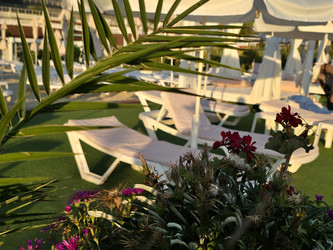 Similar image 22210199