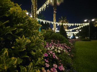 Similar image 22210552