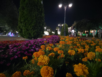 Similar image 22210553