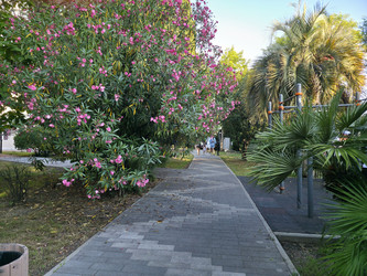 Similar image 22210203