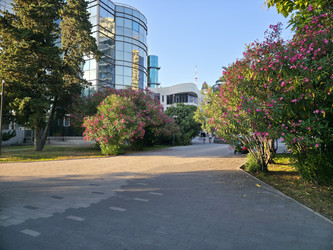 Similar image 22210205