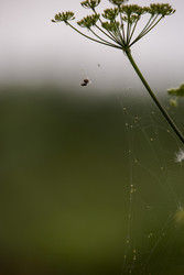 Similar image 22210565