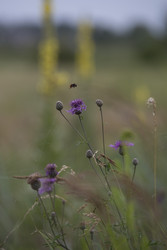 Similar image 22210566