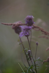 Similar image 22210567