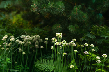 Similar image 22210575