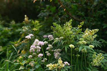 Similar image 22210576