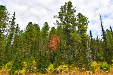 Similar image 22210583