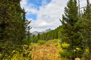 Similar image 22210586