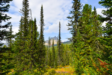 Similar image 22210591