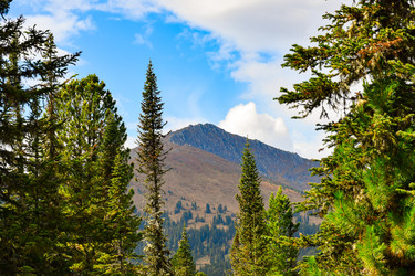 Similar image 22210592