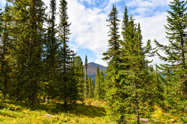 Similar image 22210593