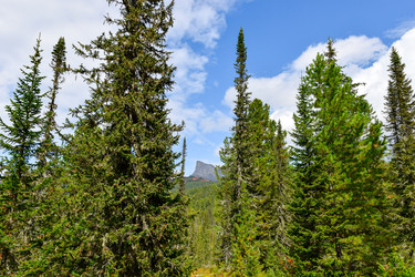 Similar image 22210596