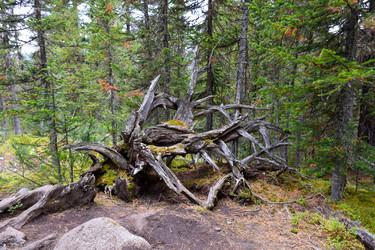 Similar image 22210599