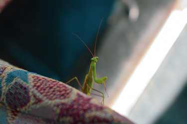 Similar image 22210603