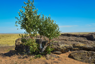 Similar image 22210604