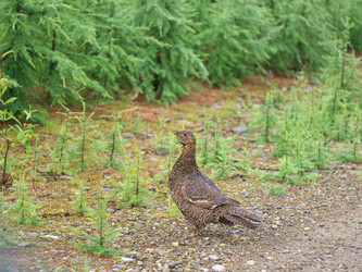 Similar image 22210638